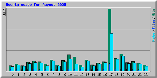 Hourly usage for August 2025