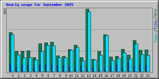 Hourly usage for September 2025
