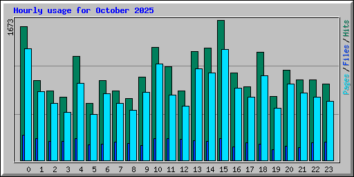 Hourly usage for October 2025